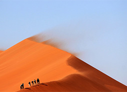 ddos压力在线测试平台