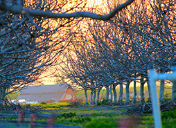 自动发货快的安卓ddos攻击工具